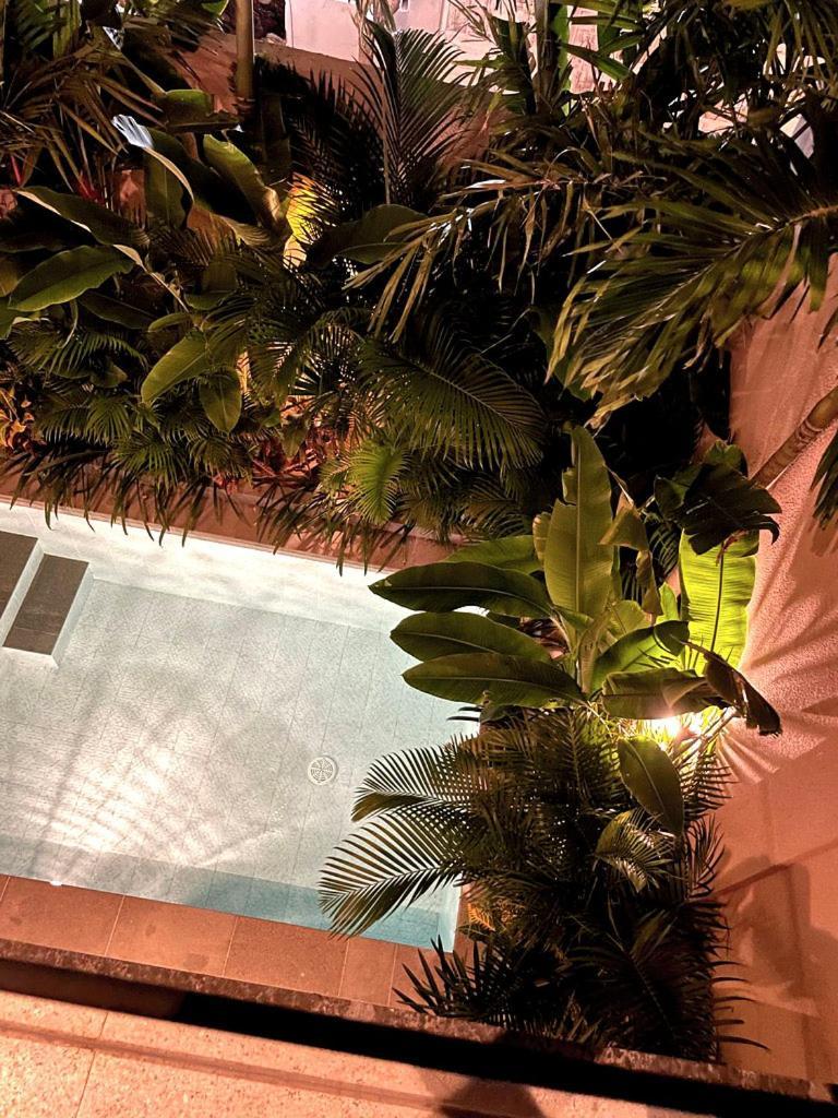 Villa Dune 1